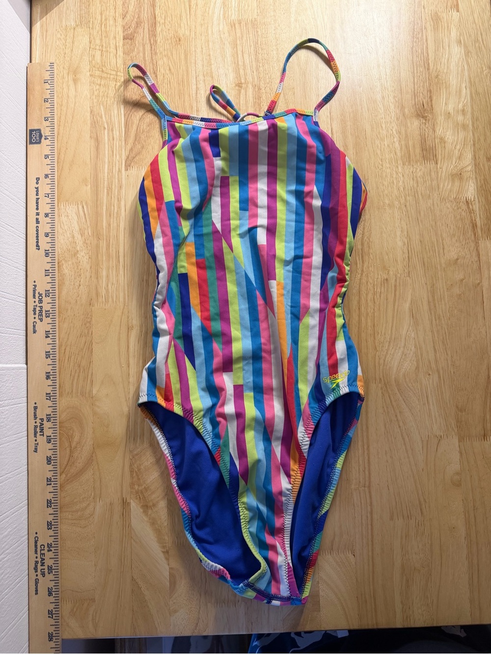 Speedo Women's Multicolor Vertical Stripe One-Piece Swimsuit